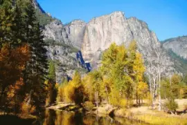 NATUREZA jigsaw puzzle