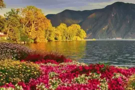 (49) Paisagem jigsaw puzzle