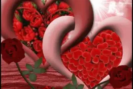 פאזל של imagens