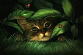 hay*-* jigsaw puzzle