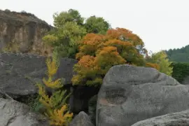 OTOÃ‘O jigsaw puzzle