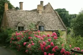 todo paisaje jigsaw puzzle