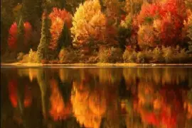 todo paisaje jigsaw puzzle