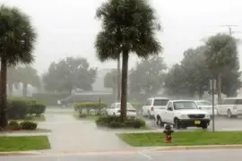 פאזל של NATURA