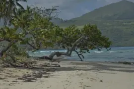 mas caribe jigsaw puzzle