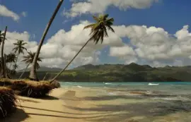 y mas caribe jigsaw puzzle