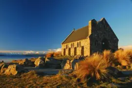 NATUREZA jigsaw puzzle