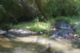 En Potrero de los Funes. San Luis. Argentina