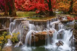 פאזל של oct212016_500x375