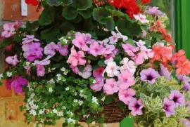 (103) Vaso de Flores