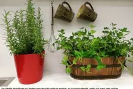 פאזל של Especias