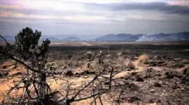 פאזל של end of times