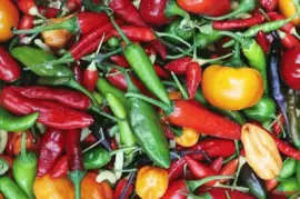 פאזל של Hierbas aromaticas