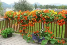 imagens jigsaw puzzle