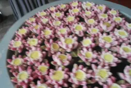 flores jigsaw puzzle