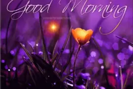 Beautiful Good Morning Buttercup jigsaw puzzle