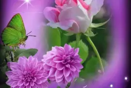 imagens jigsaw puzzle