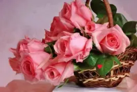 imagens jigsaw puzzle