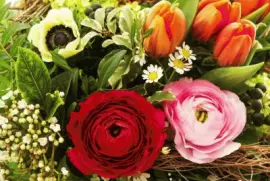 w3a3qax3qx jigsaw puzzle