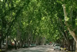 Colonia Caroya. CÃ³rdoba. Argentina jigsaw puzzle