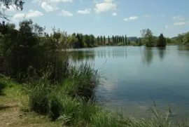 Bettenauer Weiher SG jigsaw puzzle