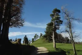 Hulftegg SG jigsaw puzzle