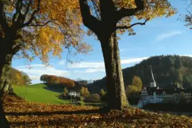 Kloster Magdenau SG jigsaw puzzle