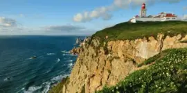 פאזל של bonito