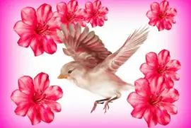 56r 6rf d u jigsaw puzzle