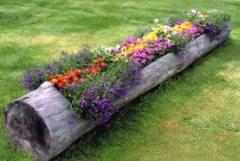 Pinturas jigsaw puzzle