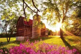 floral jigsaw puzzle