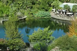 Trauttmannsdorf Teich jigsaw puzzle