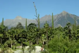 Trauttmannsdorf Blick in die Ferne jigsaw puzzle