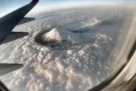 פאזל של belleza