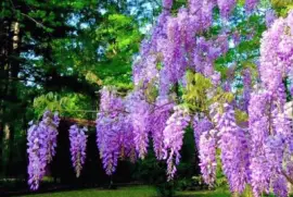 imagens jigsaw puzzle