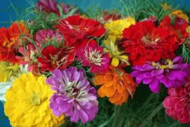 t45r 7i6fzuvh jigsaw puzzle