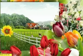 5rv43wr7b6c5z4w jigsaw puzzle