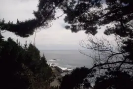 Paisaje jigsaw puzzle