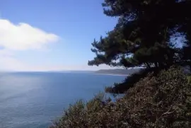 Paisaje jigsaw puzzle