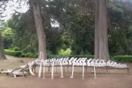 Paisaje jigsaw puzzle