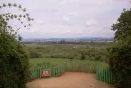 Paisaje jigsaw puzzle