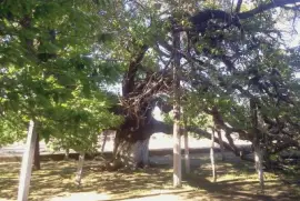 Paisaje jigsaw puzzle