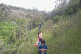 Paisaje jigsaw puzzle