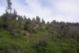 Paisaje jigsaw puzzle