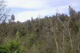 Paisaje jigsaw puzzle