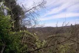 Paisaje jigsaw puzzle