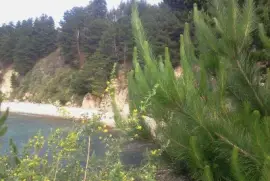 Paisaje jigsaw puzzle