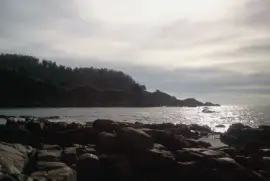 Paisaje jigsaw puzzle