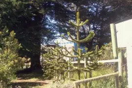 Paisaje jigsaw puzzle