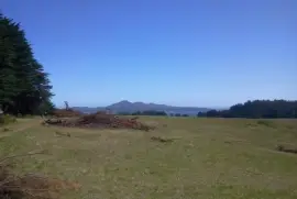 Paisaje jigsaw puzzle